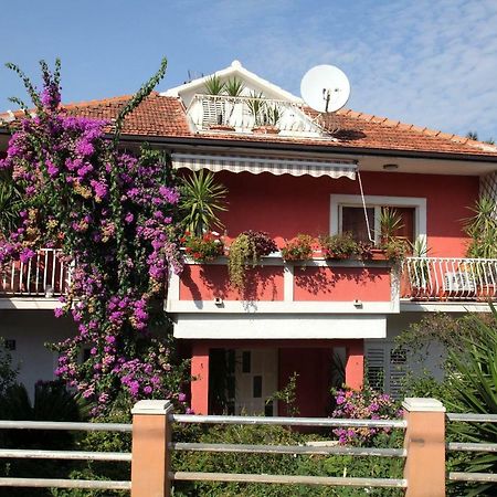 Stela Apartments Trogir Room photo